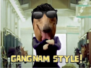 Magic Gangnam Stlye!
